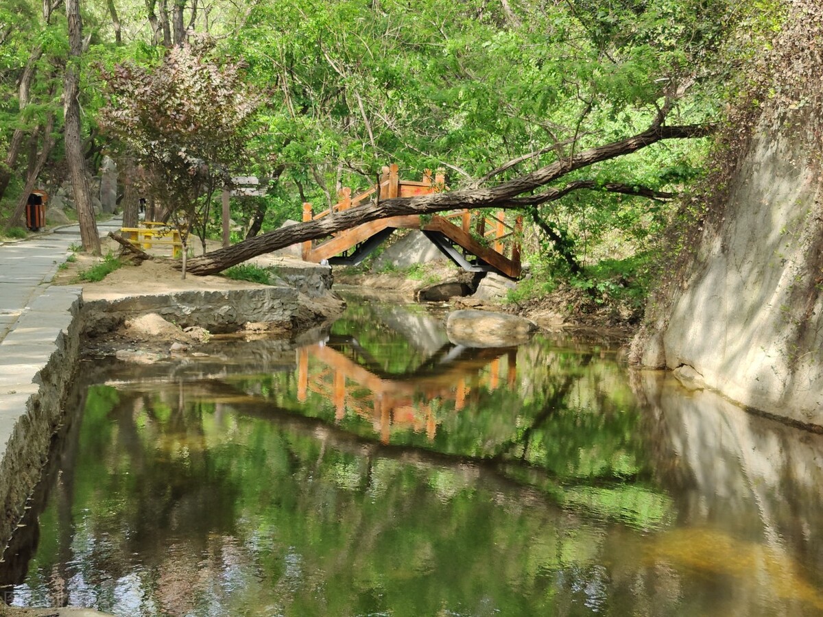 露营地看日出点推荐,藏在深山里的绝美露营点