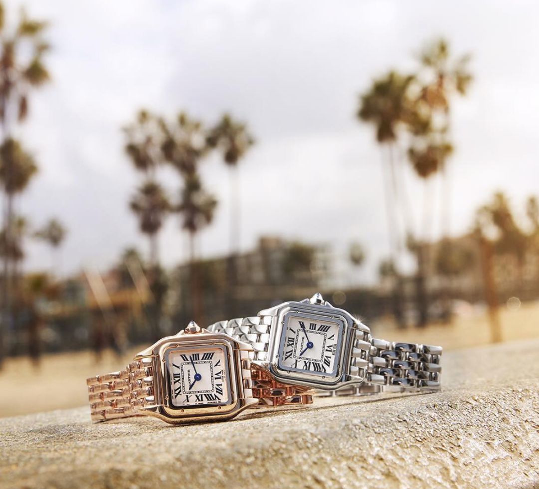 戴安娜腕表,戴安娜戴两支表