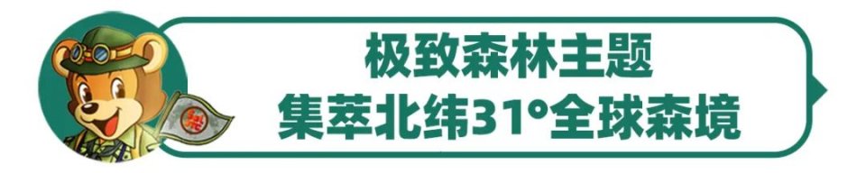 苏州乐园森林世界夜场是几月份,苏州乐园森林世界门票包含项目