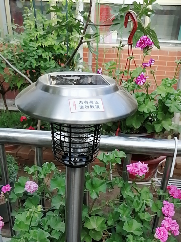 一楼蚊子特别多怎么除蚊子,一楼下水道蚊子怎么消除