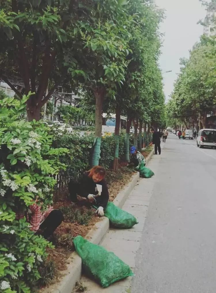 战高温斗酷暑坚守一线工地,战高温斗酷暑坚守一线照片