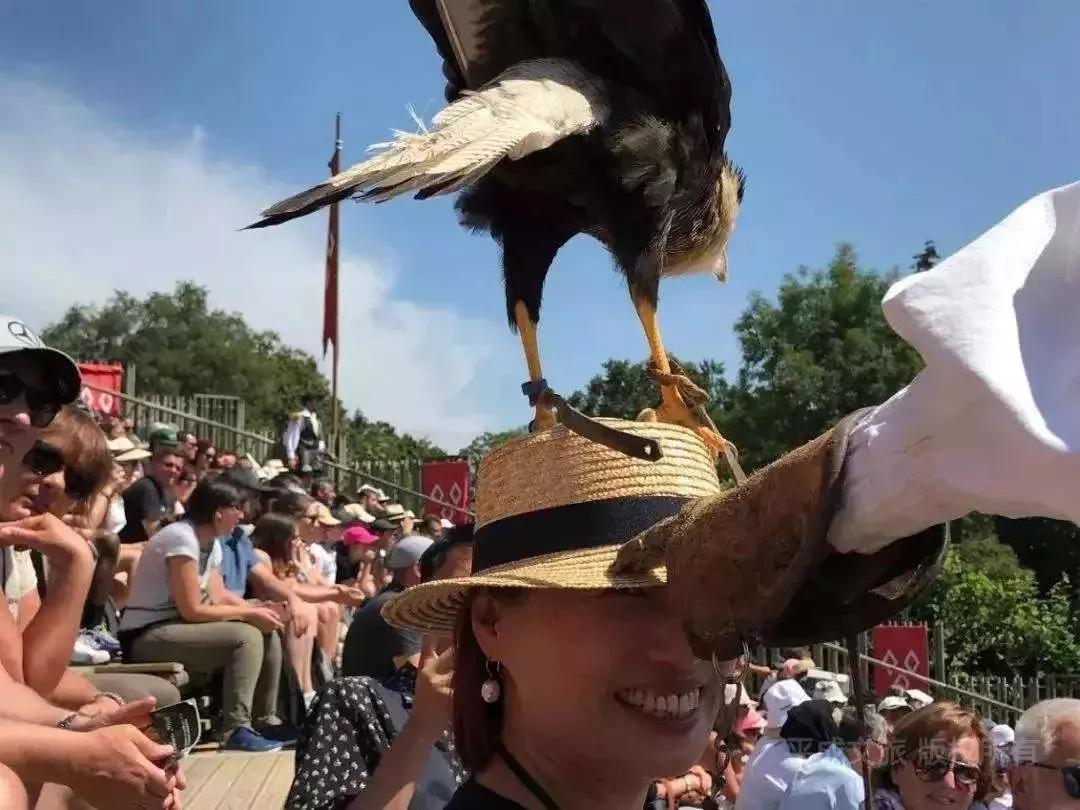 什么是沉浸式旅游,一场说走就走的沉浸式旅游