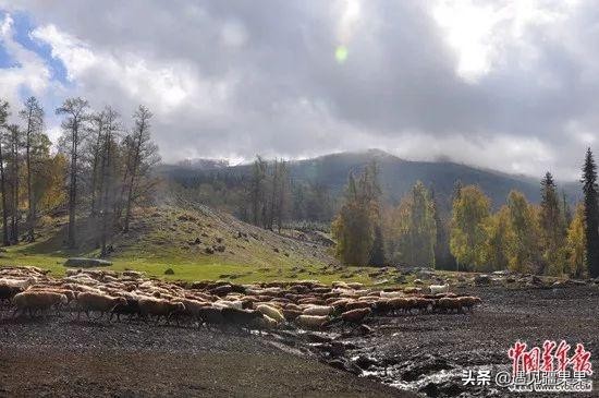 大美*疆新**欢迎你‖看哭了。支教老师八千字长文：再也没去过阿勒泰