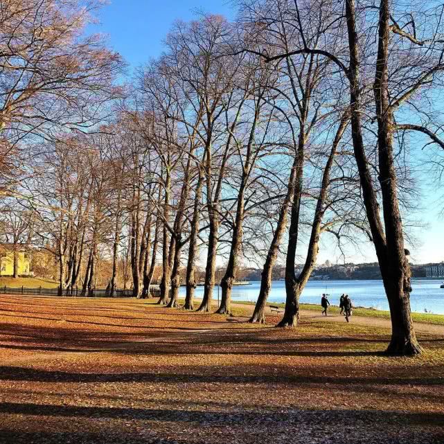 半城繁华半城园,春来十城早知道