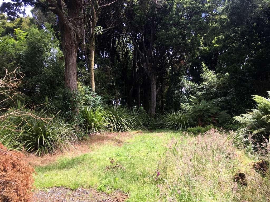 100万人民币在新西兰,100万在新西兰能买到什么车