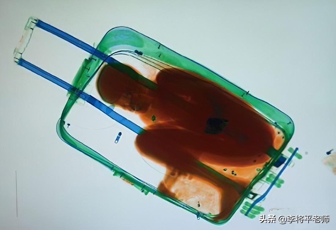 海关如何知道你带了活物入境?细数中国入侵生物中的英雄和耻辱们