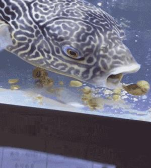 分享创富最佳方法,分享快速致富好项目