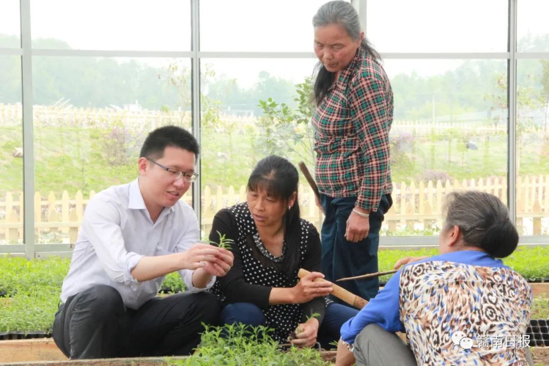 赣州市一批集体和个人获全省表彰,赣州市表彰先进集体