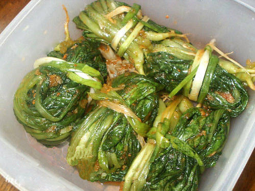 开胃下饭的泡菜怎么做,开胃下饭腌泡菜做法