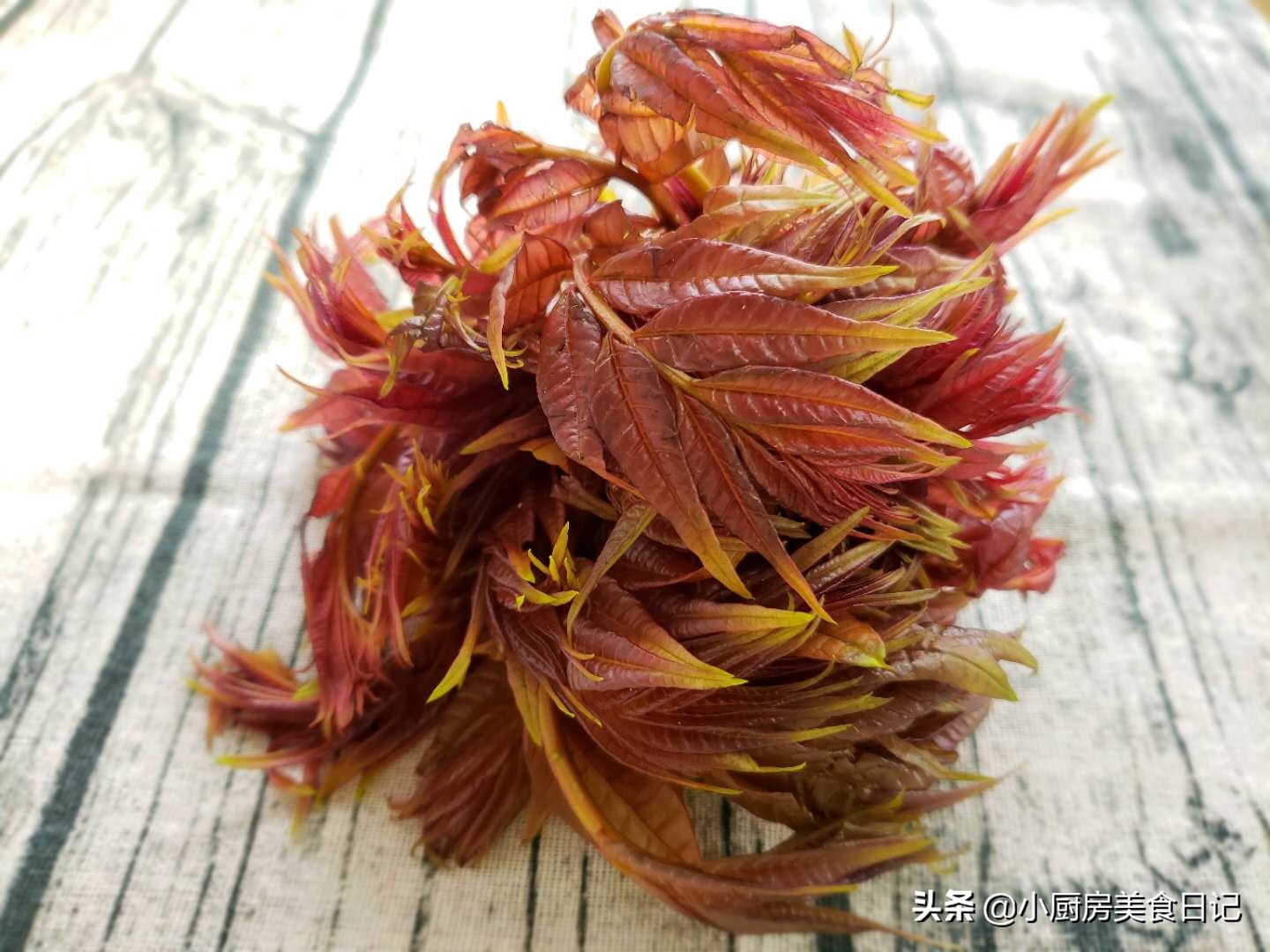 香椿有多少个吃法和用处,香椿为什么这么多人喜欢吃