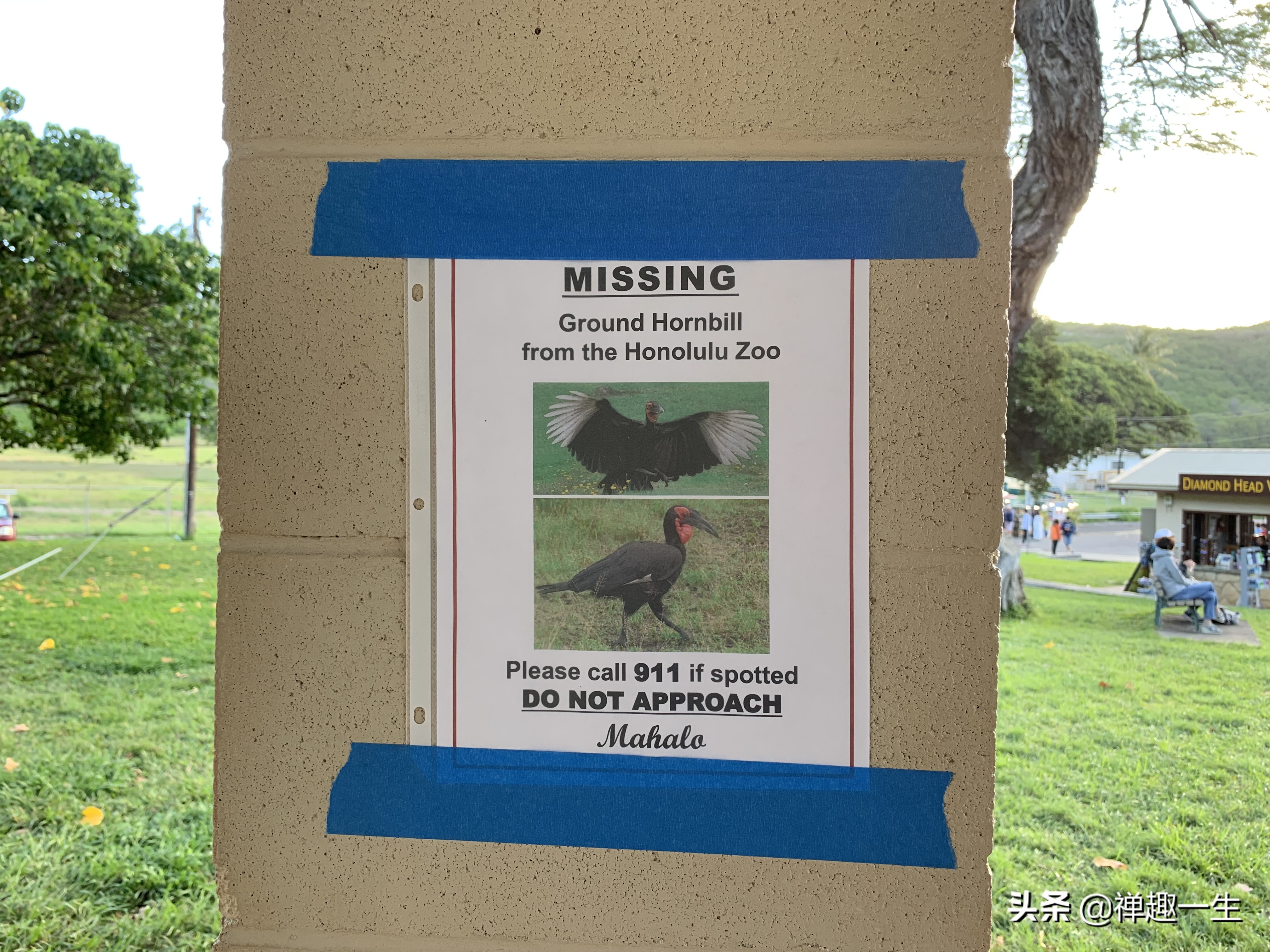 西班牙人哪里有好玩的,西班牙人看巴塞罗那