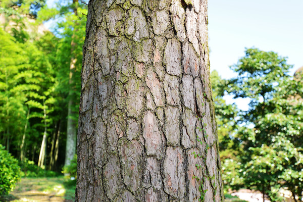 徐霞客游过的地方有哪些,徐霞客游了哪几个省