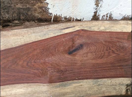 红檀木寓意佛家,红檀木有什么特点