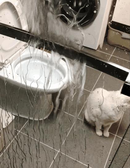 搞定全屋清洁,解决全屋水垢的最好方法