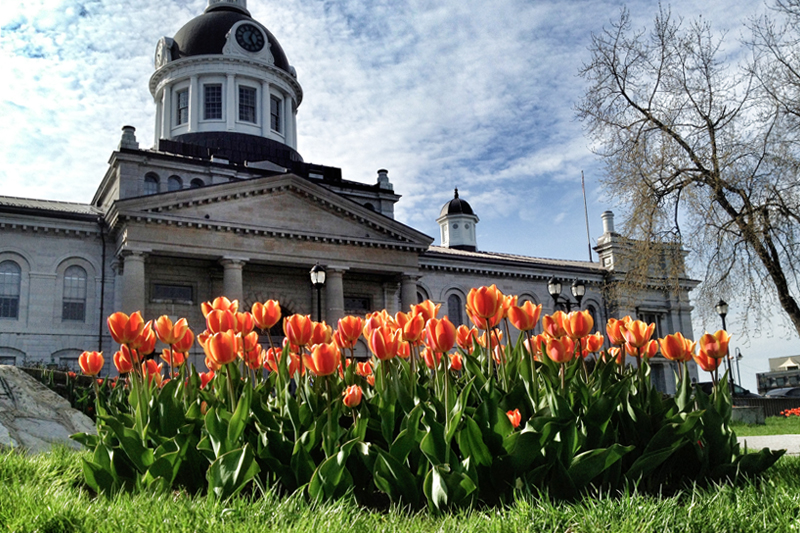 鼎鼎有名的皇后大学，到底有着怎样的魅力呢？