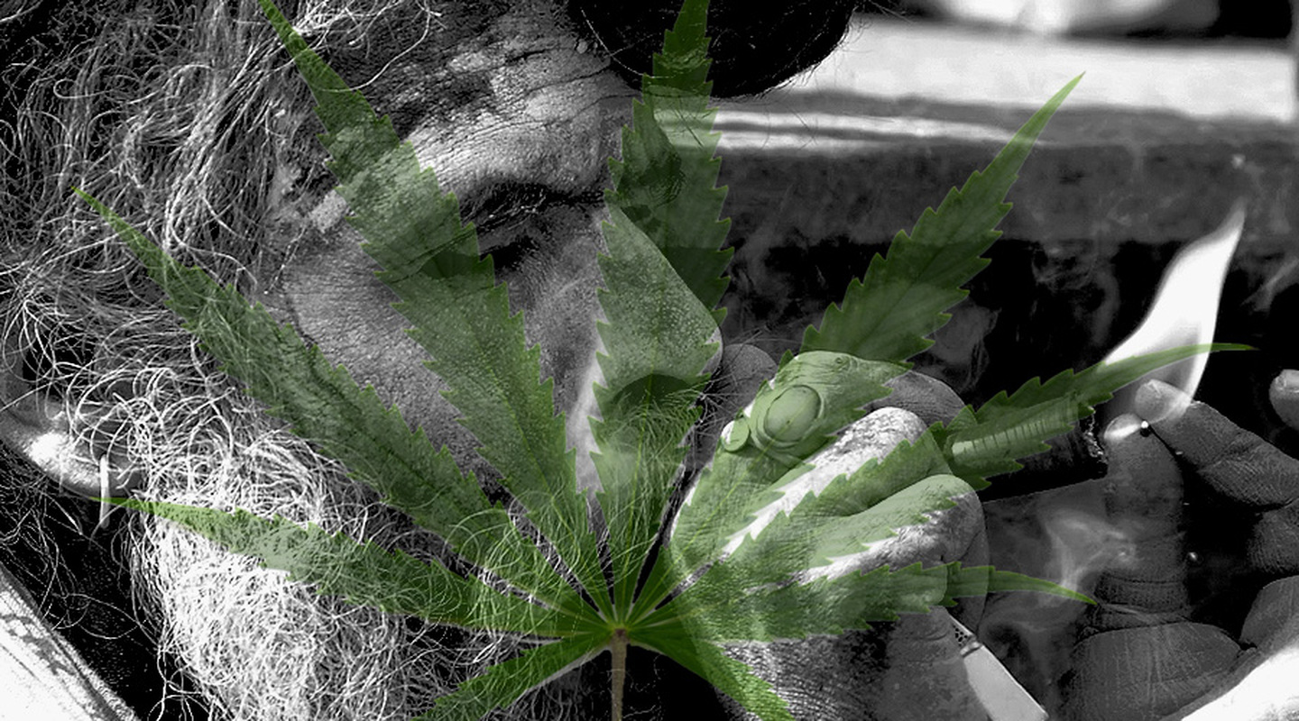 毒检知识:*麻大**,罪恶之种