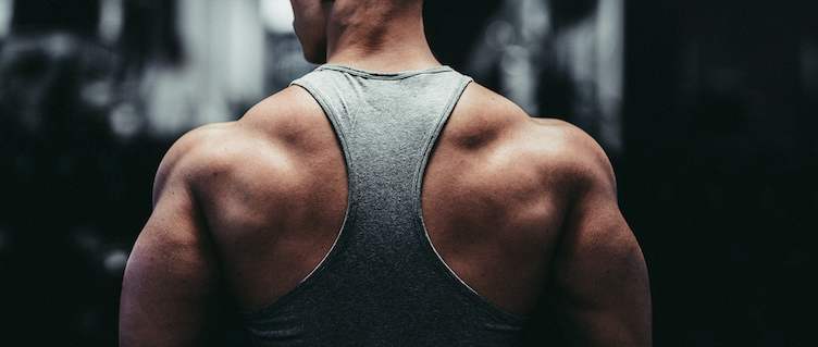 人体工学椅选择双背还是单背,人体工学椅单买靠背吗