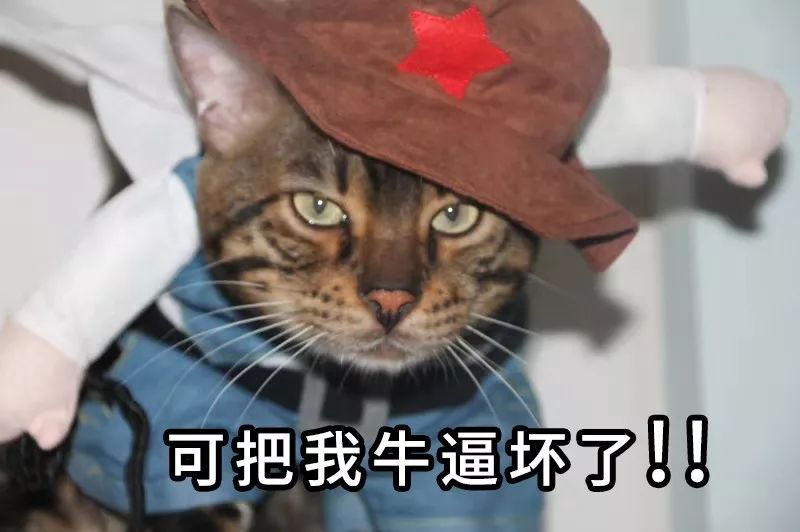 绿城疯了，这次真的疯了