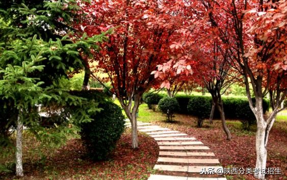 魅丽校园行之-陕西职业技术学院