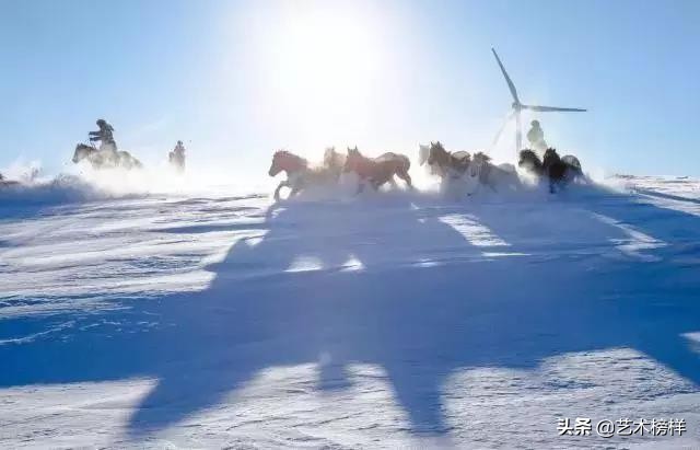 摄影家张明友：把“蒙古马精神”传播到全世界