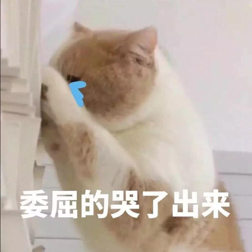 淘宝直播电商入门知识教程,淘宝电商直播问题