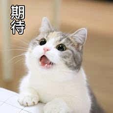 会计小白最需要知道的会计分录,会计小白想要掌握的会计知识