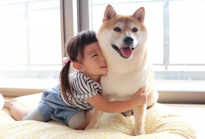 打过疫苗的狗狗抓伤后需要打针吗,被狗爪子抓伤要打疫苗吗