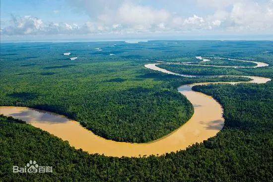 带你了解燕窝知识,燕窝小科普你知多少