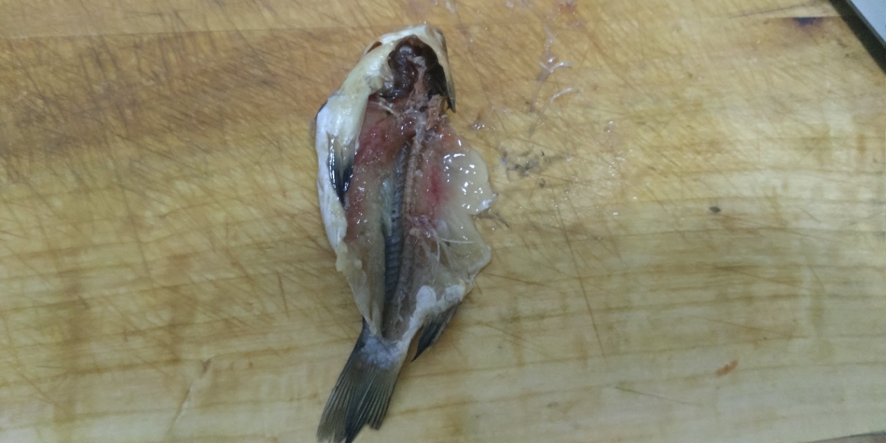 醋焖杂鱼,醋焖小杂鱼正宗做法