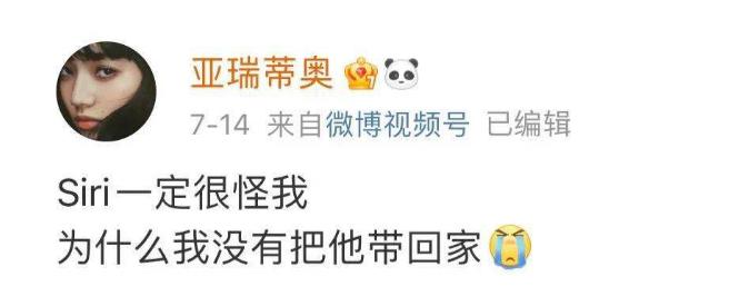 律师谈金毛siri托运途中死亡,如何看待金毛siri被托运死