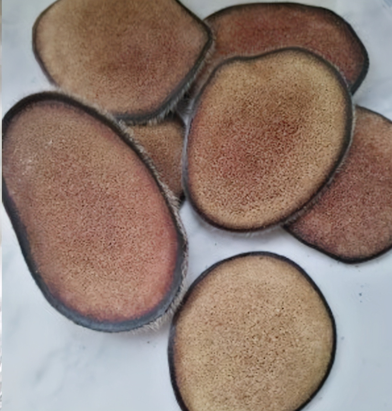 鹿茸片你买对了吗？学习一下再下手吧