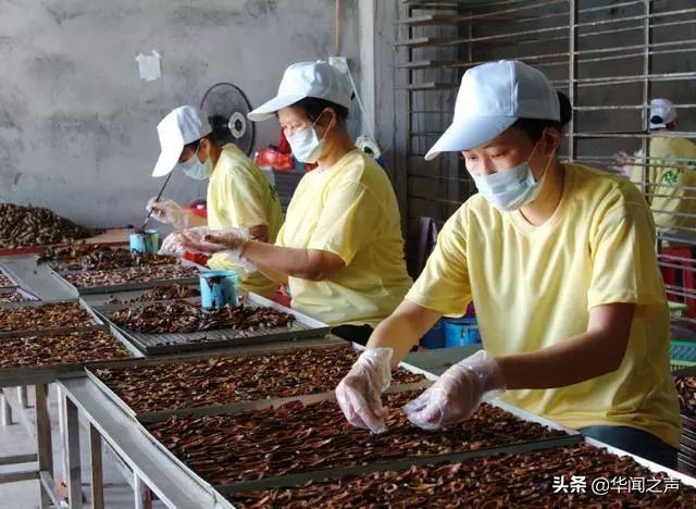 如果人生可以重来我绝不吃槟榔,如果有来生我绝对不吃槟榔