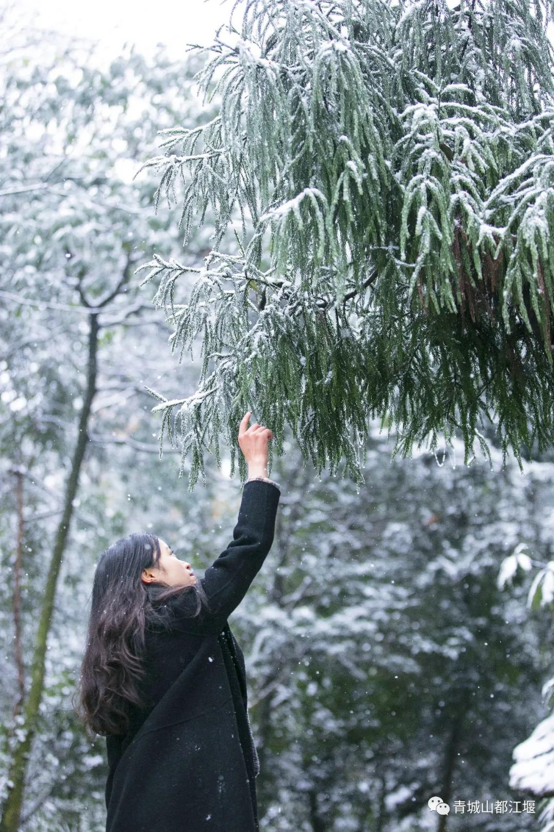 无雪不成冬,都江堰玩雪一日游