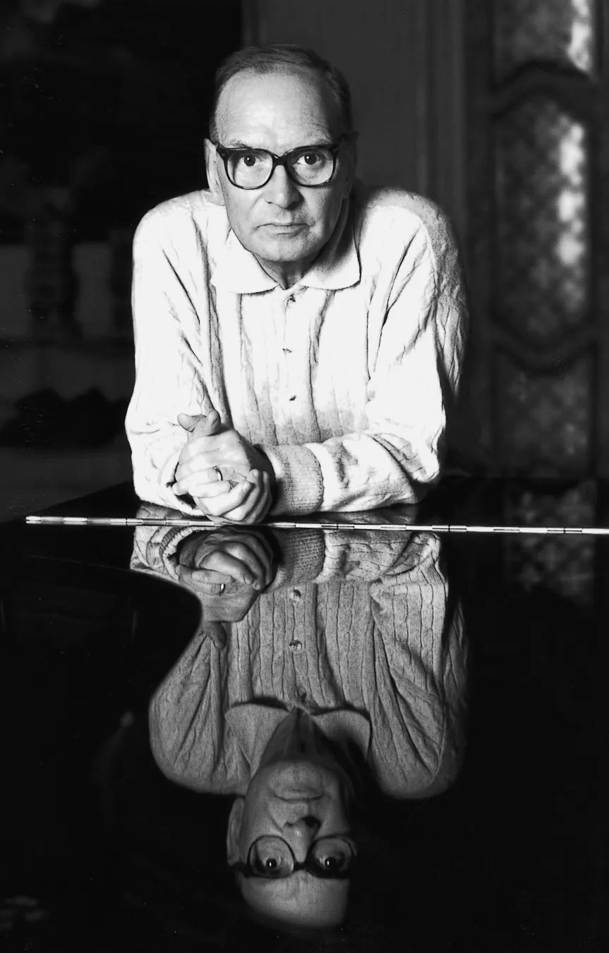 王家卫姚晨,姚晨王家卫