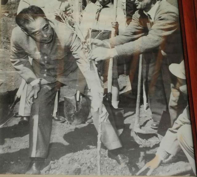 中国国际金奖橄榄油,中国橄榄油获奖