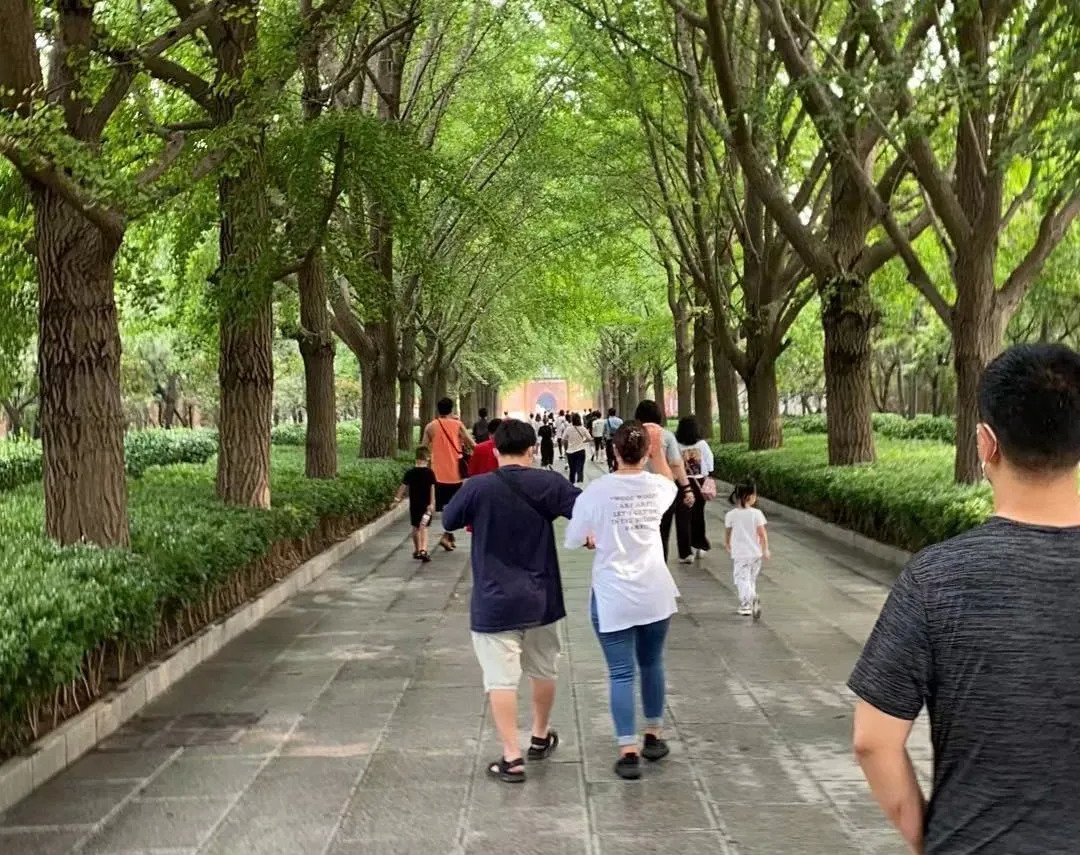 我在原始做代购全文阅读免费,我在古代做代购小说