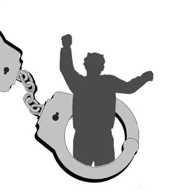 有必要买新秀丽行李箱吗,新秀丽旅行箱真假对比