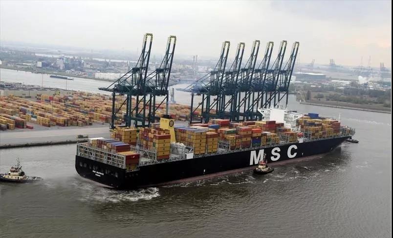 严查进口品,美国海关的货物清关规定