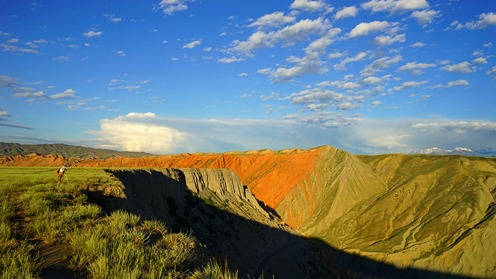 梵高画不出的向日葵,梵高画中的风景
