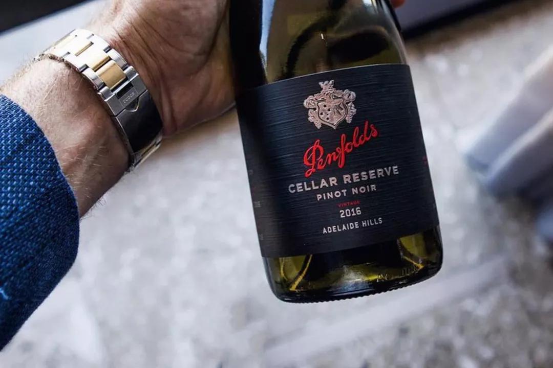 最新最全版｜奔富全系列酒款指南，强烈推荐收藏！