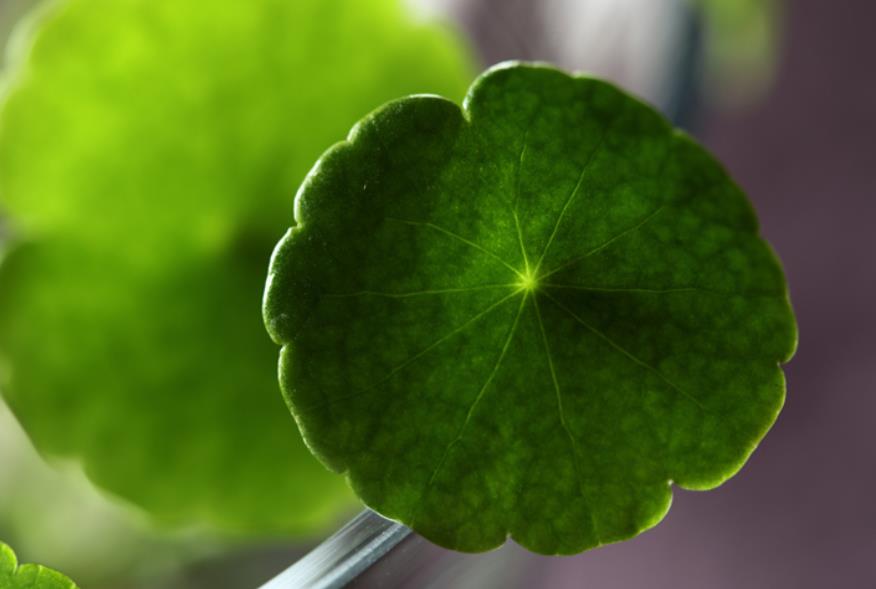 做人要懂得投资自己,做人赚钱的原则