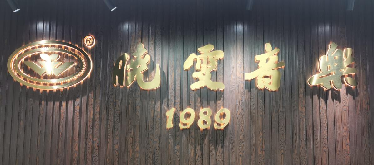 晓雯音乐暑期班,晓雯音乐教育