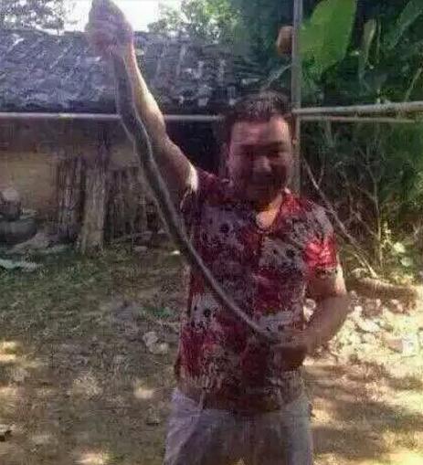 30张搞笑图片gif,笑晕过去搞笑图片