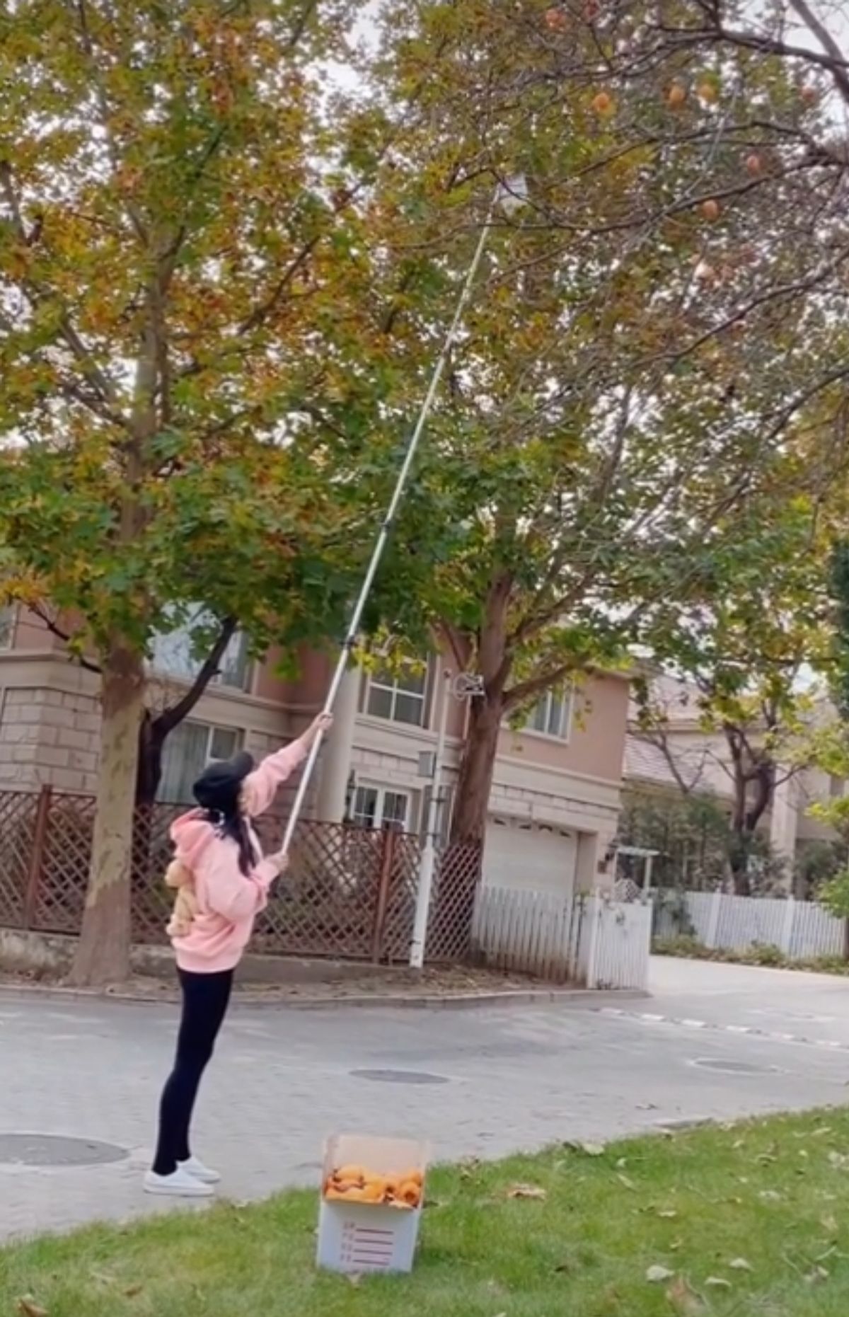 陈好身穿深蓝色礼服亮相,陈好最新穿衣图