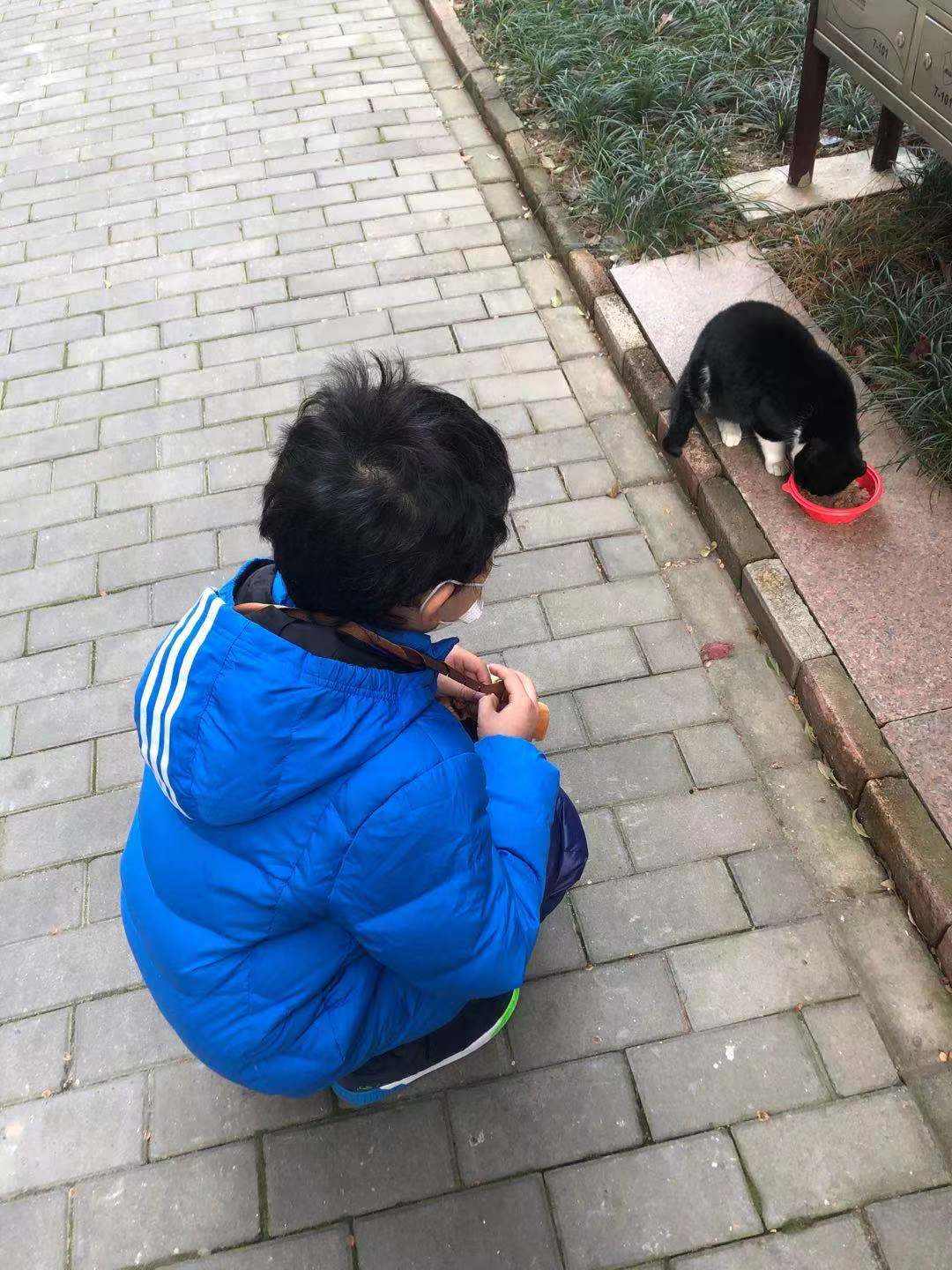 嘉蓝全阶段猫粮,嘉蓝猫粮评价