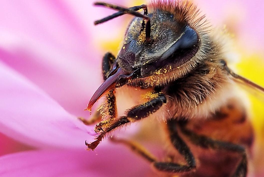 手机摄影拍摄效果图,摄影超级神器
