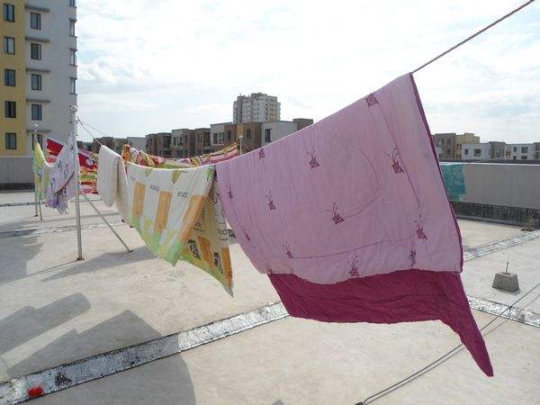 衣柜里面有褐色的小虫子怎么办,衣柜长小虫子是什么原因