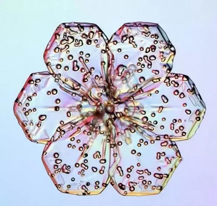 邯郸雪下哪里了,雪如约而至周末天气怎么样