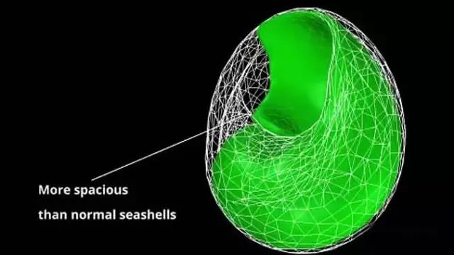 用动物做品牌宣传要版权吗,人工制作小动物宣传