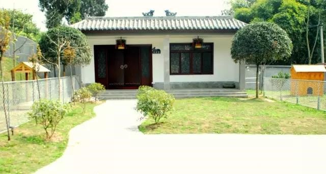 向往优宠怎么样,向往优宠好不好